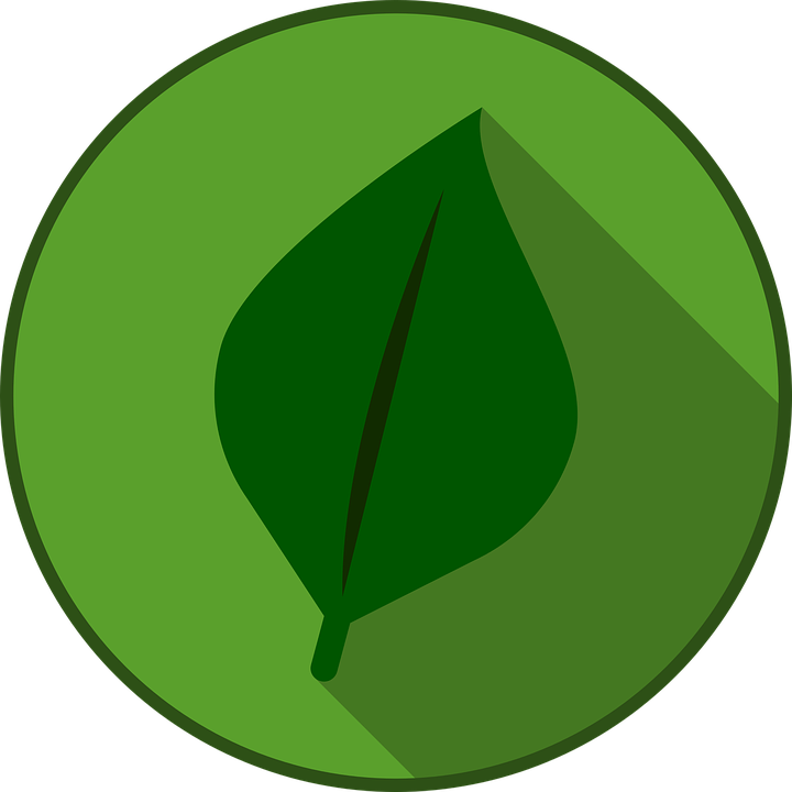 Grass